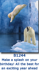 Diving Bears Birthday Card